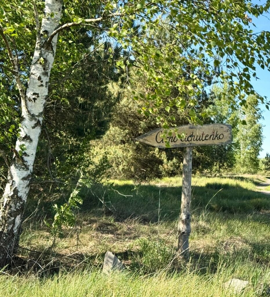 warsztaty dla kobiet